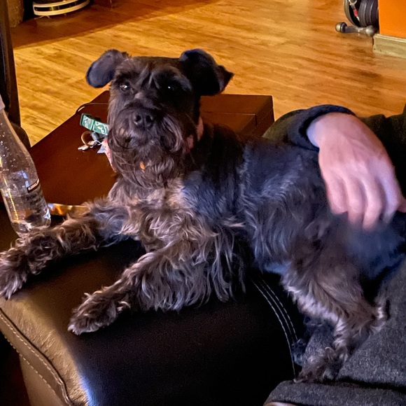 Meet your Posher, Sarah - Picture 2 of 4